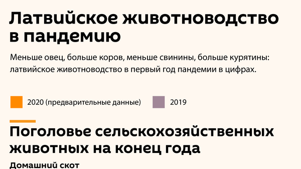 Латвийское животноводство в пандемию - Sputnik Латвия